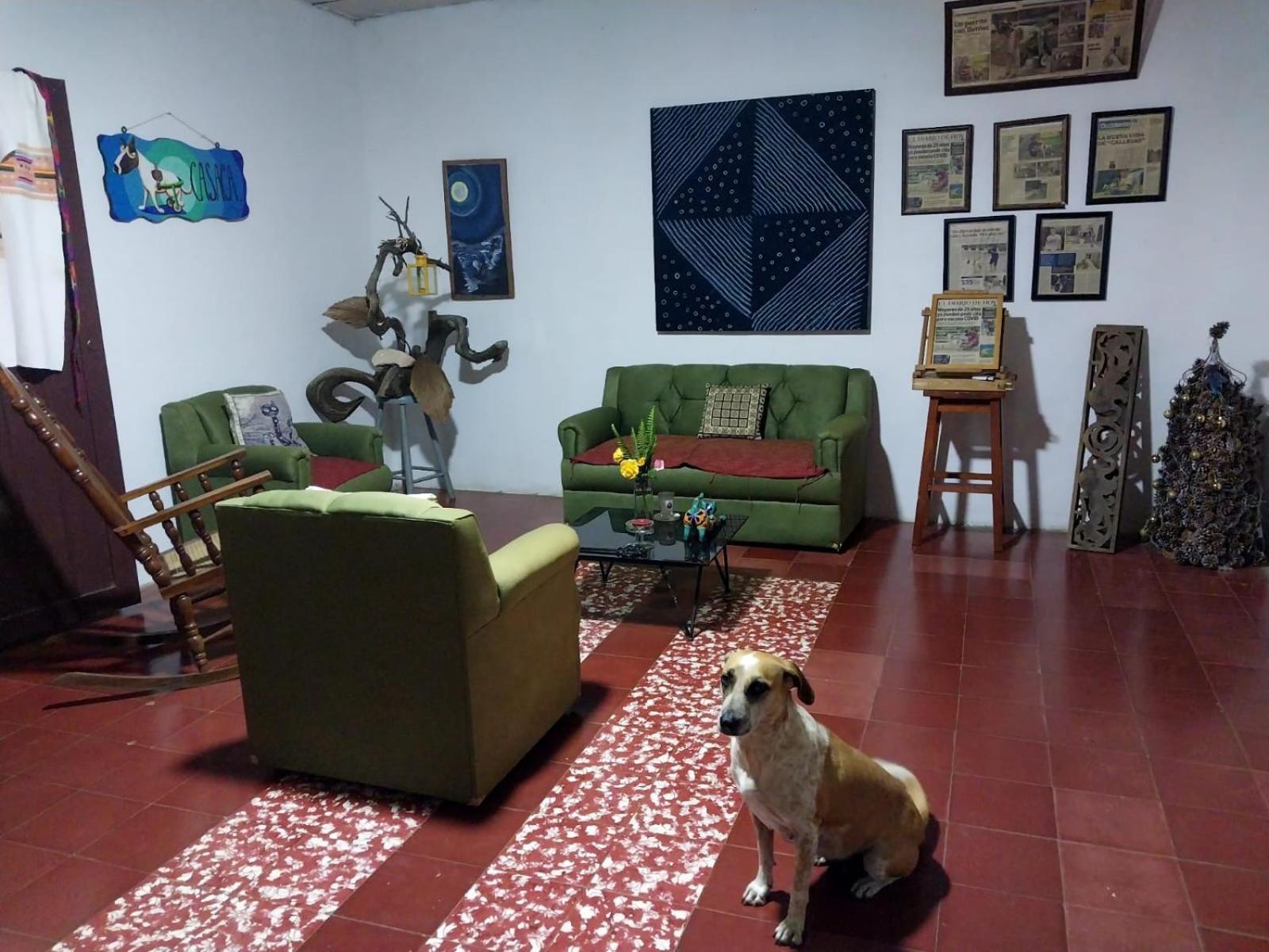 Apartmán Casaca Concepción de Ataco Exteriér fotografie